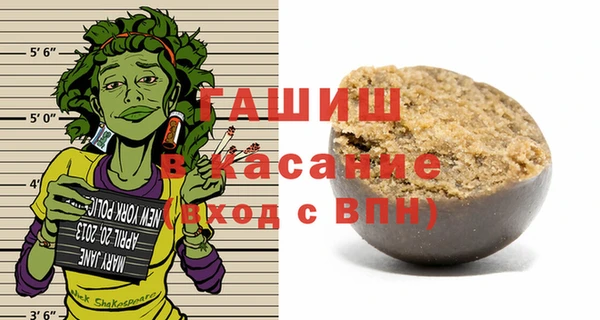 индика Заволжье