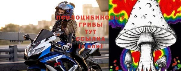 сатива Зеленодольск
