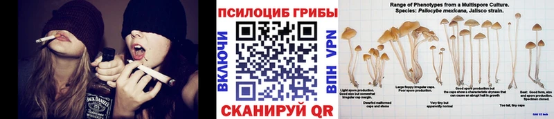 где можно купить наркотик  Нефтекамск  Псилоцибиновые грибы Psilocybe 